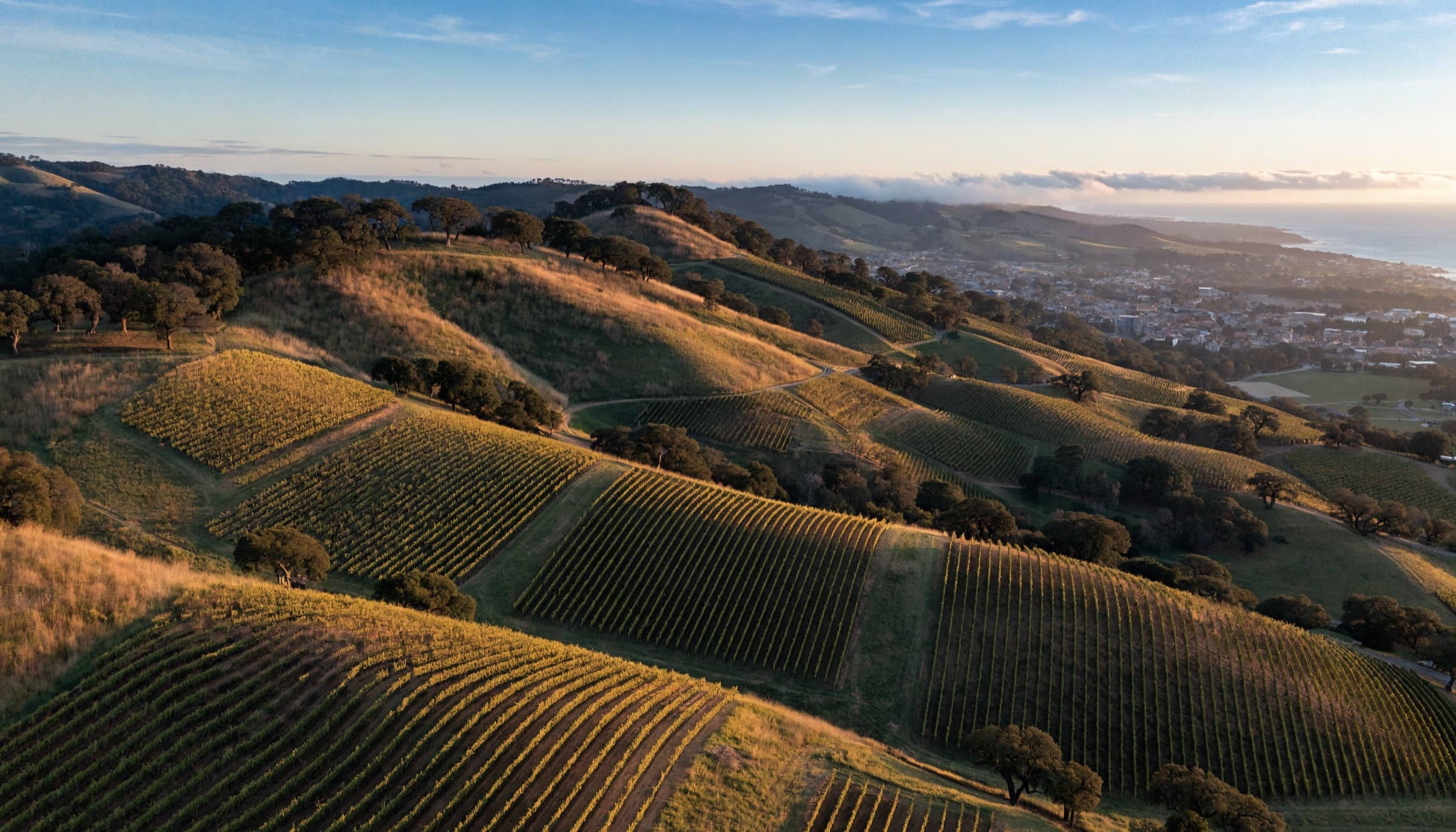 Golden-hour view over the vineyard hills of California's North Bay